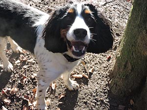 January 2017 Photo 6